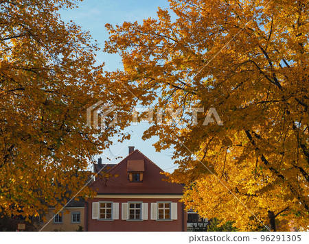 Contance, Germany - October 8th 2022: Big trees in autumnal colours in front of a wine red house 96291305