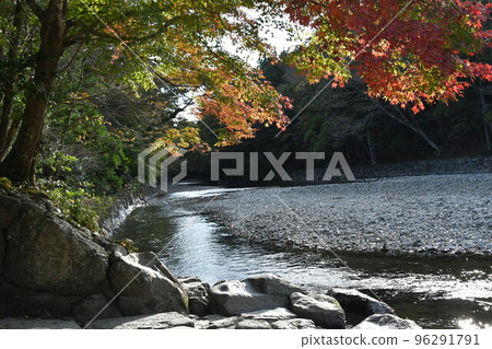 Naiku Mitarai Momiji 96291791