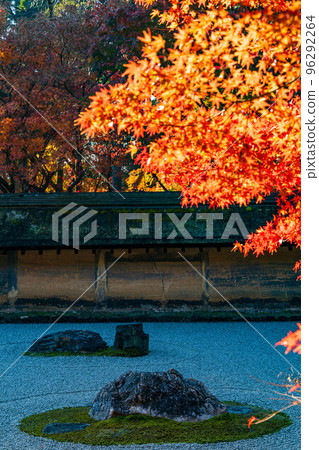 秋天在京都古都世界遺產 Ryoanji 岩石花園與秋葉 96292264