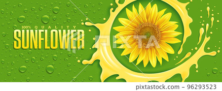 sunflower food oil splash with many oil drops sunflower food oil splash with many oil drops 96293523