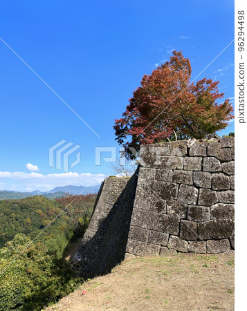 Ishigaki and autumn leaves of Oka castle ruins 96294498