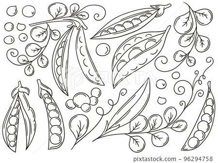 Set of vector illustrations in hand drawn style. Coloring poster with fruits 96294758
