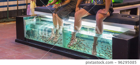 Foot massage in aquarium by fish in Thailand Foot massage in aquarium by fish in Thailand 96295085