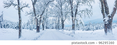 Country road in the natural park in winter day. Country road in the natural park in winter day. 96295160