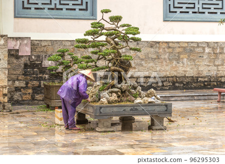 Tree care worker works at park in Vietnam Tree care worker works at park in Vietnam 96295303