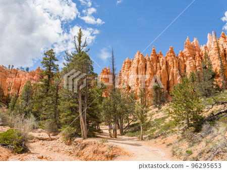 Bryce canyon Bryce canyon 96295653