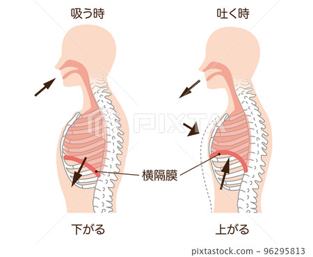 呼吸膜男版 呼吸膜男版 96295813