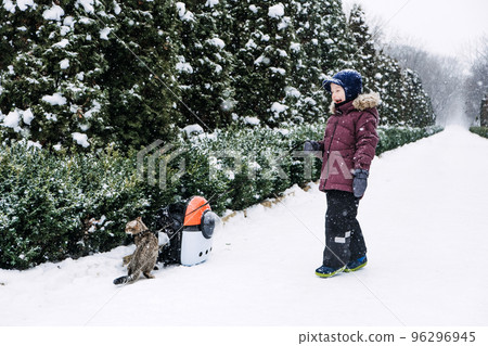 Outdoor Cat Care in Winter. Cold Weather Cat Safety. Cats in Winter. Little boy walking with domestic cat in winter snowy park. Outdoor Cat Care in Winter. Cold Weather Cat Safety. Cats in Winter. Little boy walking with domestic cat in winter snowy park. 96296945