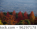 autumn leaves and city view 96297178
