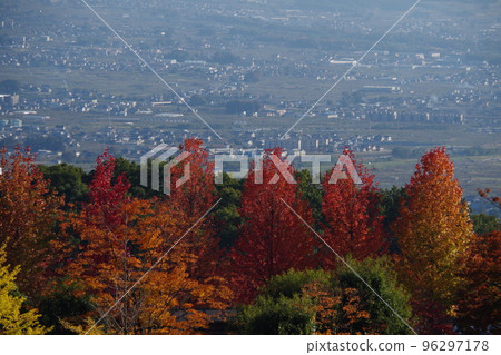 秋葉和城市景觀 秋葉和城市景觀 96297178