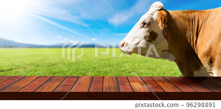 Empty Wooden Table and a Dairy Cow on a Countryside Landscape 96298891