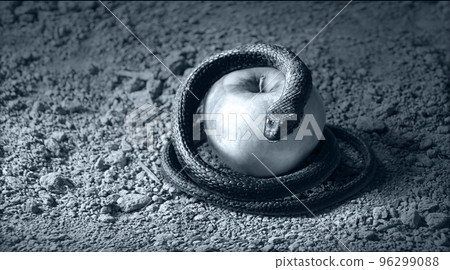 A snake wrapped around an apple as a symbol of temptation 96299088