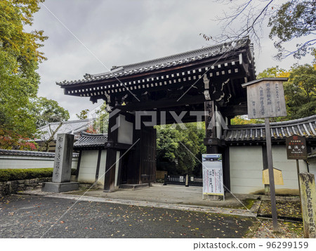 京都府京都市泉湧寺大門的秋天 96299159