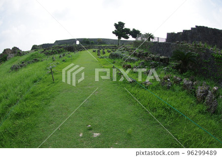 中城城綠地毯 96299489