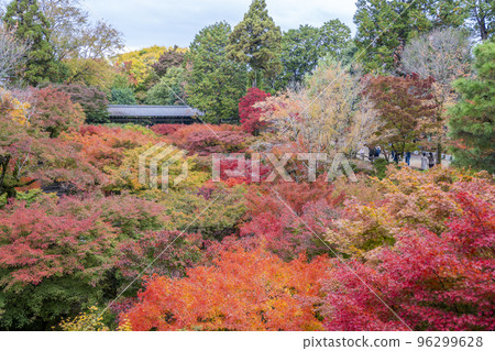 秋天的東福寺，從京都府京都市通天橋看到的Gaunkyo橋 96299628