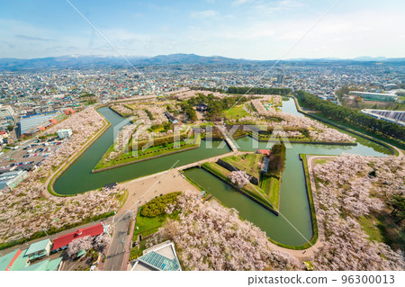 春天從函館五棱郭塔看到的五棱郭盛開的櫻花和湛藍的天空 春天從函館五棱郭塔看到的五棱郭盛開的櫻花和湛藍的天空 96300013