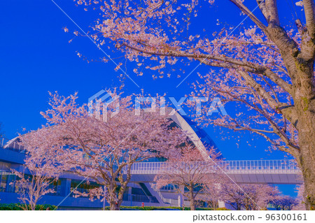 Musashino no Mori綜合體育廣場 Musashino no Mori綜合體育廣場 96300161