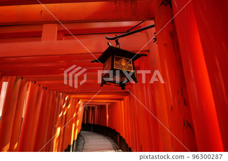 Fushimi Inari's 1,000 torii gates and hanging lanterns Fushimi Inari's 1,000 torii gates and hanging lanterns 96300287