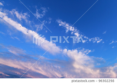 美麗的天空和鳥群 美麗的天空和鳥群 96302298