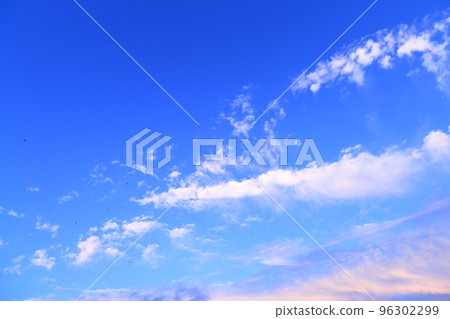 美麗的天空和鳥群 96302299