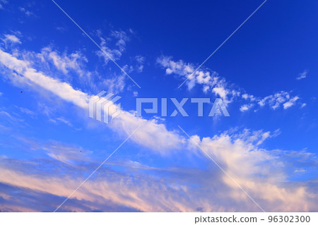 美麗的天空和鳥群 96302300