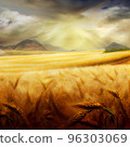 Wheat field and sky with clouds. Countryside summer background in gold colors. Grain and nature. Healthy food poster. 96303069