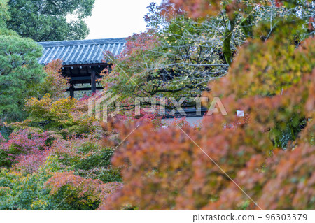 京都府京都市秋天的東福寺、紅葉和通天橋 96303379