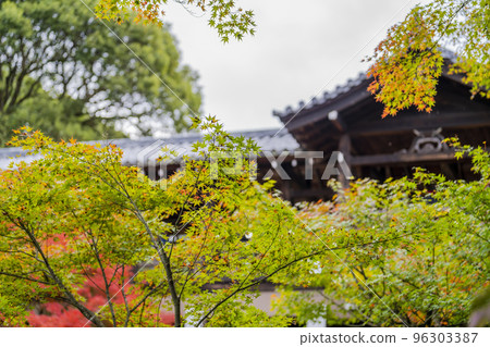 Tofuku-ji Temple in autumn, colored leaves and Tsutenkyo Bridge, Kyoto City, Kyoto Prefecture Tofuku-ji Temple in autumn, colored leaves and Tsutenkyo Bridge, Kyoto City, Kyoto Prefecture 96303387