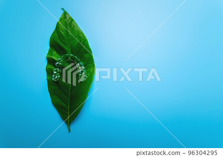 Invisible plastic braces one pieces lie on a green succulent leaf from a flower on a blue background, studio shot 96304295