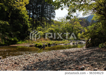[Tokyo] Akigawa Valley River flowing through the forest 96304629