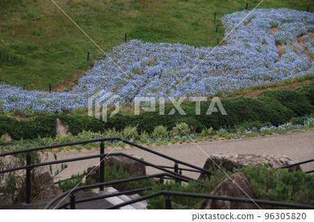 park  park 96305820