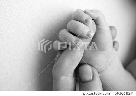 Close-up little hand of child and palm of mother and father. The newborn baby has a firm grip on the parent's finger after birth. A newborn holds on to mom's, dad's finger. Black and white photo. 96305927