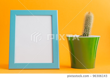 succulent plant on a yellow background. succulent plant on a yellow background. 96306143