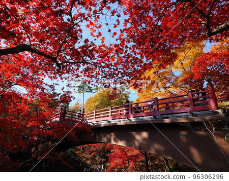 Niigata Yahiko Park Momiji Valley in autumn Niigata Yahiko Park Momiji Valley in autumn 96306296