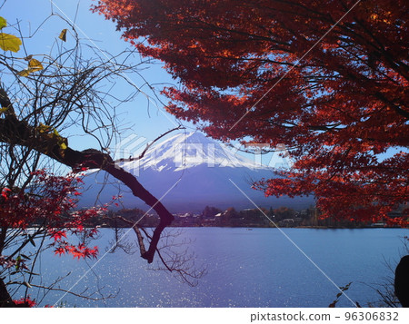 Autumn leaves Fuji 96306832