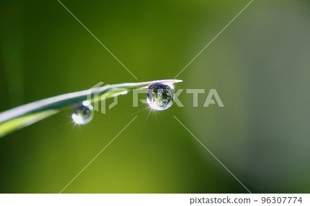 希望的太陽 96307774