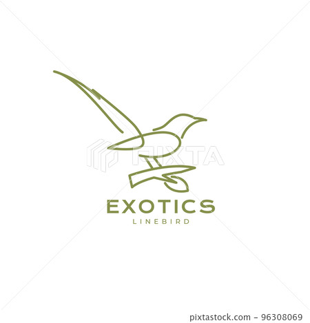 exotic bird with branch tree line art logo design 96308069