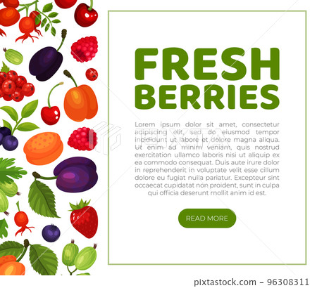 Fresh berries landing page template with space for text. Ripe organic berries web banner, website cartoon vector Fresh berries landing page template with space for text. Ripe organic berries web banner, website cartoon vector 96308311
