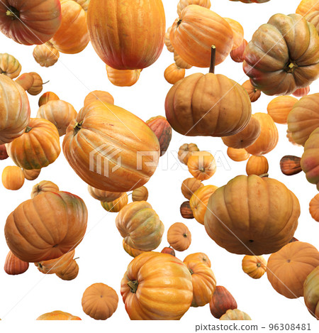 Falling Pumpkin isolated on white background, selective focus Falling Pumpkin isolated on white background, selective focus 96308481