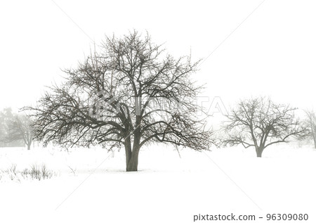winter landscape winter landscape 96309080
