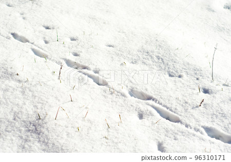 footstep on the snow 96310171