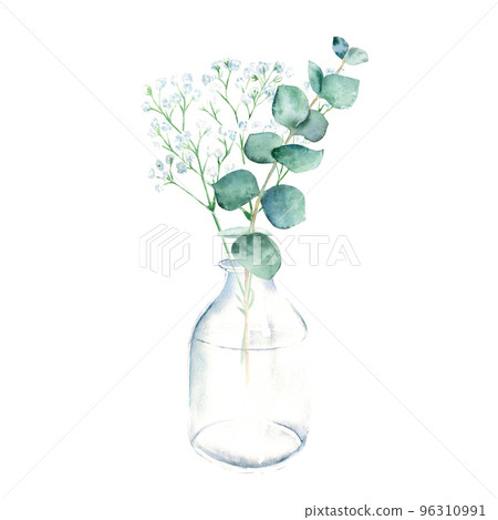 Eucalyptus and gypsophila branches in vase, jar. Watercolor hand drawn botanical illustration isolated on white background. Eco minimalistic style for greeting card, poster. Eucalyptus and gypsophila branches in vase, jar. Watercolor hand drawn botanical illustration isolated on white background. Eco minimalistic style for greeting card, poster. 96310991