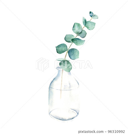 Eucalyptus branch in vase, bottle, jar. True blue. Watercolor hand drawn botanical illustration isolated on white background. Eco minimalistic style for greeting card, poster. 96310992