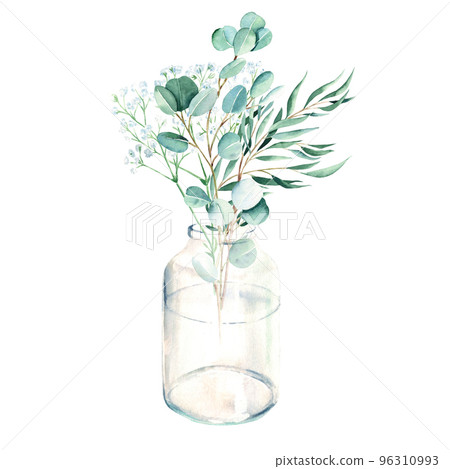 Eucalyptus and gypsophila branches in vase, jar. Silver dollar, willow. Watercolor hand drawn botanical illustration isolated on white background. Eco minimalistic style for greeting card, poster. 96310993