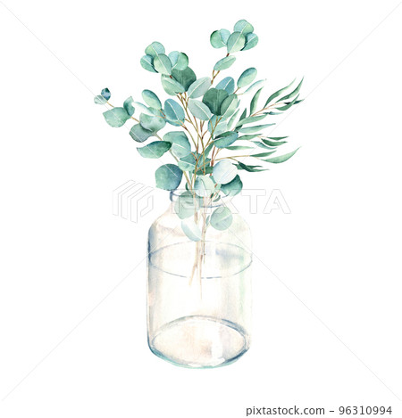 Eucalyptus branches in vase, jar. Silver dollar, willow, true blue. Watercolor hand drawn botanical illustration isolated on white background. Eco minimalistic style for greeting card, poster. 96310994