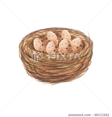 Watercolor nest with bird eggs. Easter print. Isolated on white background. Hand drawn illustration Watercolor nest with bird eggs. Easter print. Isolated on white background. Hand drawn illustration 96311082