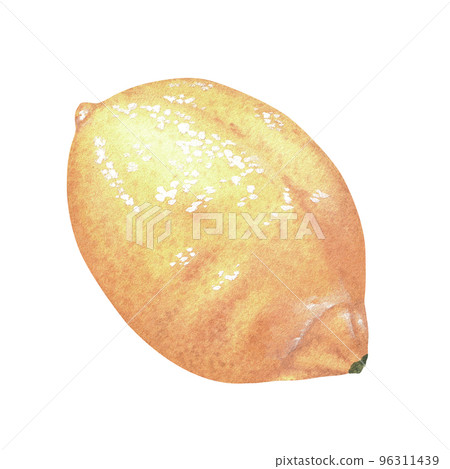 Yellow lemon. Watercolor illustration. Isolated on a white background. For your design stickers, nature prints, kitchen accessories, product packaging with citrus acid or scent 96311439