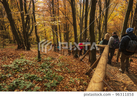 Tourist come down from above of Tarnica - the highest mountain in Bieszczady on the polish territory.. 96311858