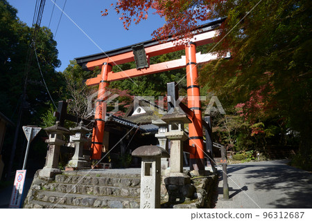 Okusaga in autumn, Torii gate of Mt. Atago, Sagano, Ukyo Ward, Kyoto City 96312687