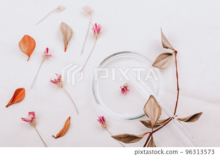 Abstract cosmetic medical background. Laboratory petri dish and dry flowers. The concept of natural cosmetics 96313573